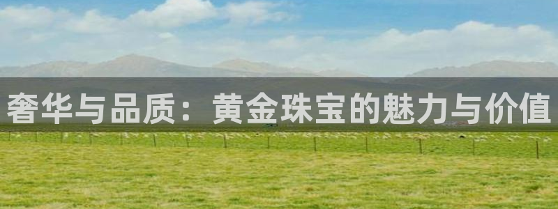 新宝5手机平台登陆：奢华与品质：黄金珠宝的魅力与价值