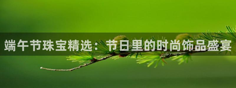 新宝娱乐5：端午节珠宝精选：节日里的时尚饰品盛宴