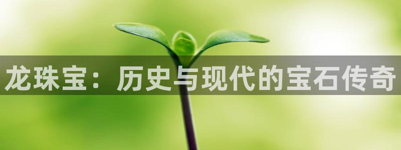 老新宝5授权登录：龙珠宝：历史与现代的宝石传奇