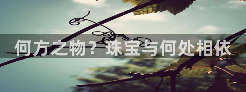 新宝5软件下载：何方之物？珠宝与何处相依