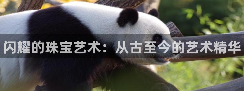 新宝5娱乐手机登录：闪耀的珠宝艺术：从古至今的艺术精华