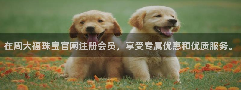 新宝5台卡：在周大福珠宝官网注册会员，享受专属优惠和优质服务。