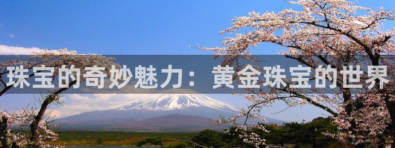 新宝5郑74OOO5：珠宝的奇妙魅力：黄金珠宝的世界