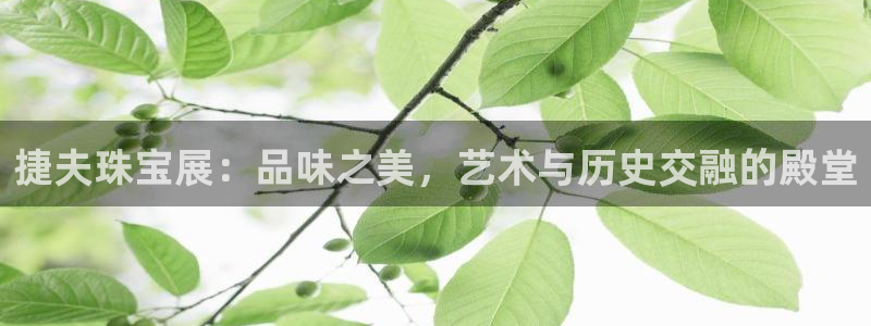 新宝5什么时候上市：捷夫珠宝展：品味之美，艺术与历史交融的殿堂
