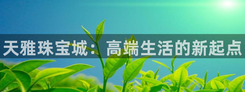 新宝5平台注册：天雅珠宝城：高端生活的新起点
