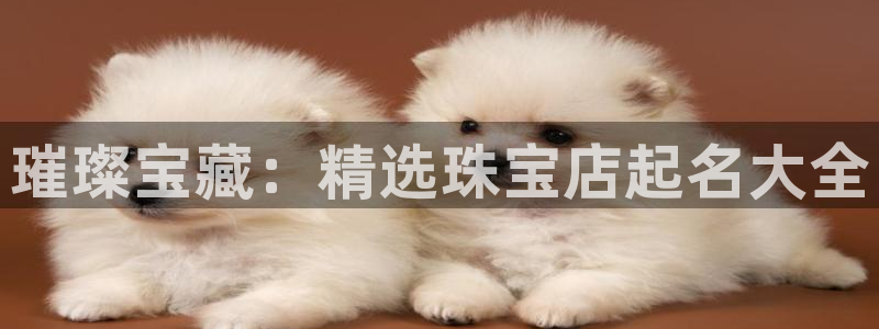 新宝5注册首页：璀璨宝藏：精选珠宝店起名大全