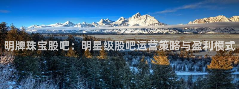 新宝5注册：明牌珠宝股吧：明星级股吧运营策略与盈利模式