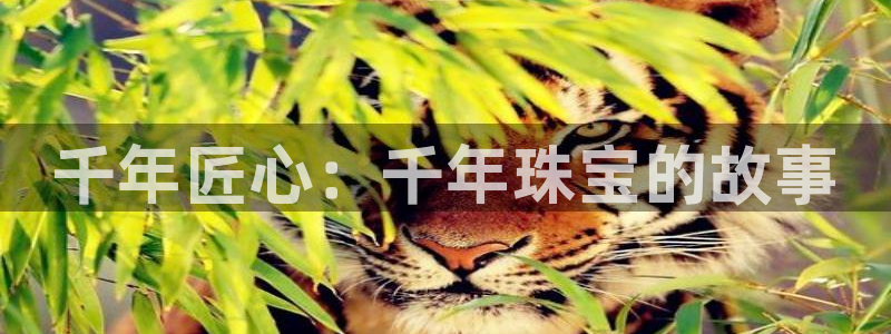 新宝5注册登录：千年匠心：千年珠宝的故事