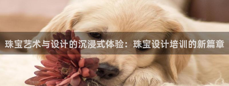 新宝 5测速：珠宝艺术与设计的沉浸式体验：珠宝设计培训的新篇章