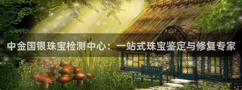 新宝5官网霸：中金国银珠宝检测中心：一站式珠宝鉴定与修复专家