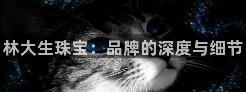 新宝5官网67五壹叁八：林大生珠宝：品牌的深度与细节