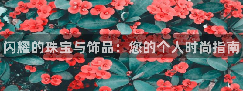 新宝5后：闪耀的珠宝与饰品：您的个人时尚指南