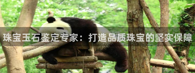 新宝5娱乐代理：珠宝玉石鉴定专家：打造品质珠宝的坚实保障