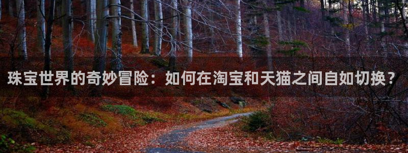 新宝5是什么样子的：珠宝世界的奇妙冒险：如何在淘宝和天猫之间自如切换？