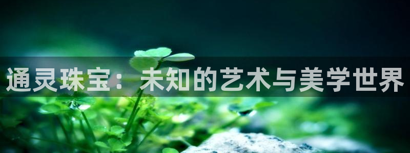 新宝5测速在线：通灵珠宝：未知的艺术与美学世界