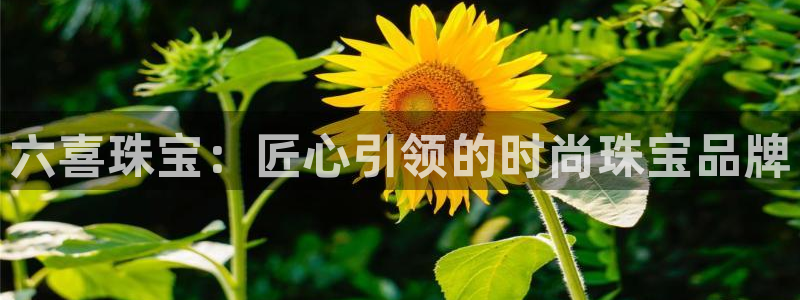 下载新宝5：六喜珠宝：匠心引领的时尚珠宝品牌