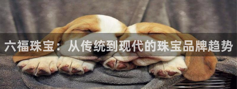 新宝5如何下载：六福珠宝：从传统到现代的珠宝品牌趋势