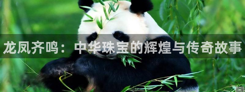 新宝5平台：龙凤齐鸣：中华珠宝的辉煌与传奇故事