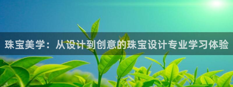 新宝5现在还能玩吗：珠宝美学：从设计到创意的珠宝设计专业学习体验