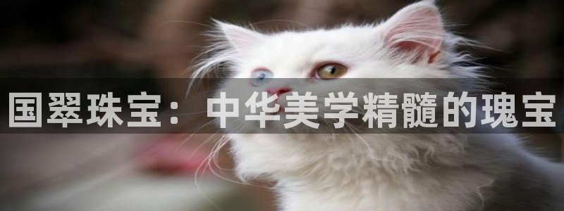 新宝5挂机：国翠珠宝：中华美学精髓的瑰宝