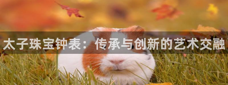 新宝h2O5O5O：太子珠宝钟表：传承与创新的艺术交融