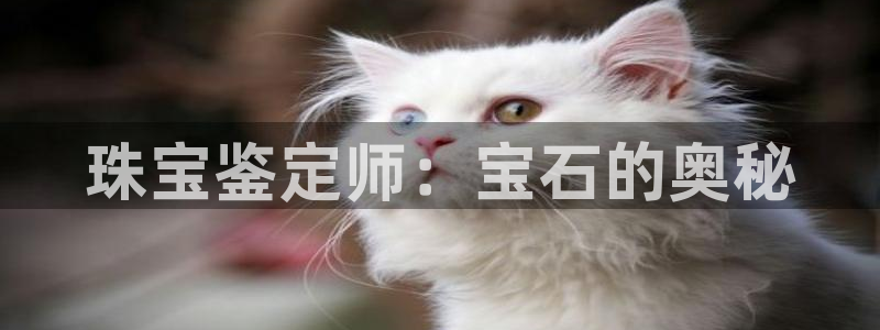 新宝5下载app：珠宝鉴定师：宝石的奥秘