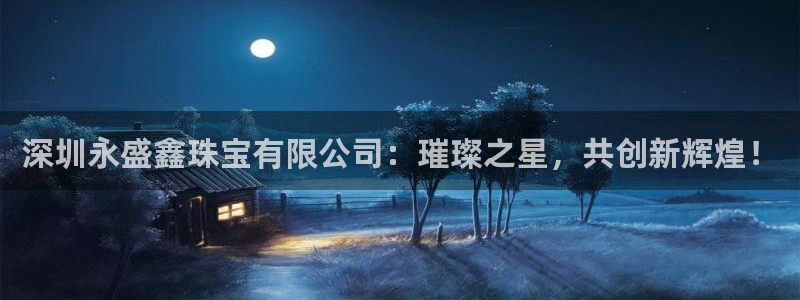 p5r新宝魔：深圳永盛鑫珠宝有限公司：璀璨之星，共创新辉煌！