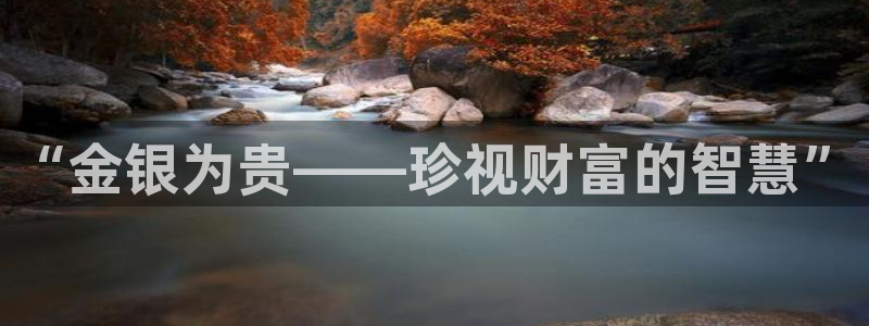 新宝5日740005蔻：“金银为贵——珍视财富的智慧”