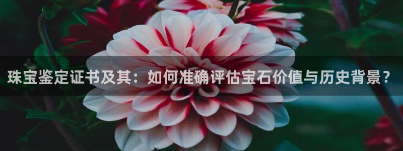 老新宝5授权登录：珠宝鉴定证书及其：如何准确评估宝石价值与历史背景？