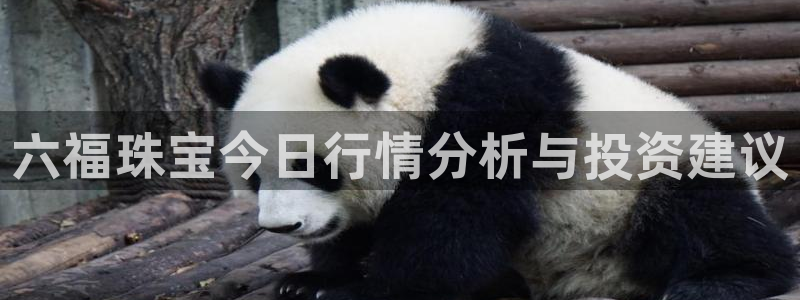 新宝5娱乐平台：六福珠宝今日行情分析与投资建议