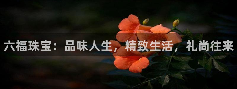 新宝奇迹GG5：六福珠宝：品味人生，精致生活，礼尚往来