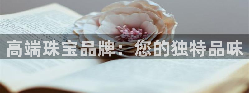 新宝rm5：高端珠宝品牌：您的独特品味