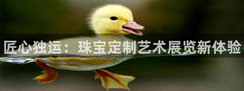 新宝5 888：匠心独运：珠宝定制艺术展览新体验