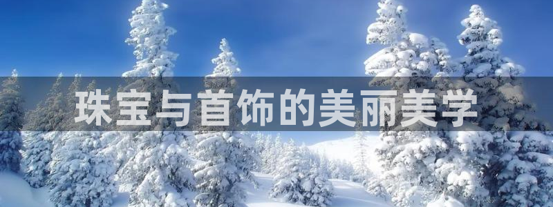 新宝5上来77542：珠宝与首饰的美丽美学