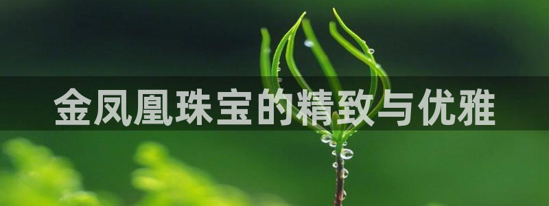 新5宝：金凤凰珠宝的精致与优雅