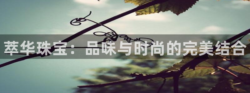 新宝注5册：萃华珠宝：品味与时尚的完美结合