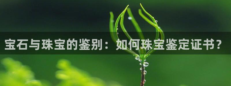 股票5G宝新：宝石与珠宝的鉴别：如何珠宝鉴定证书？