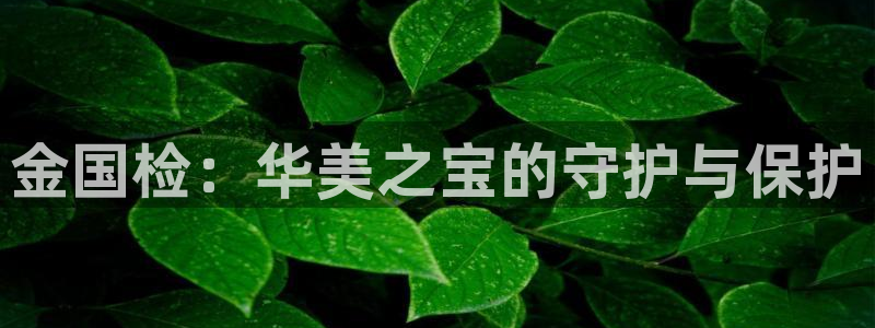 新宝5账号注册：金国检：华美之宝的守护与保护