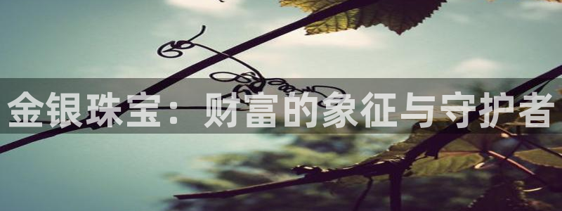 新宝5玩法：金银珠宝：财富的象征与守护者