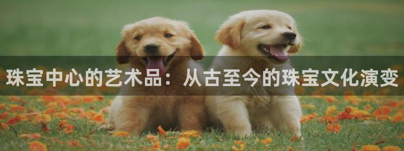 新宝5注册首页：珠宝中心的艺术品：从古至今的珠宝文化演变