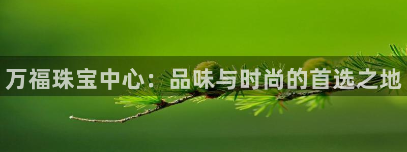 新宝m2O5O5O：万福珠宝中心：品味与时尚的首选之地