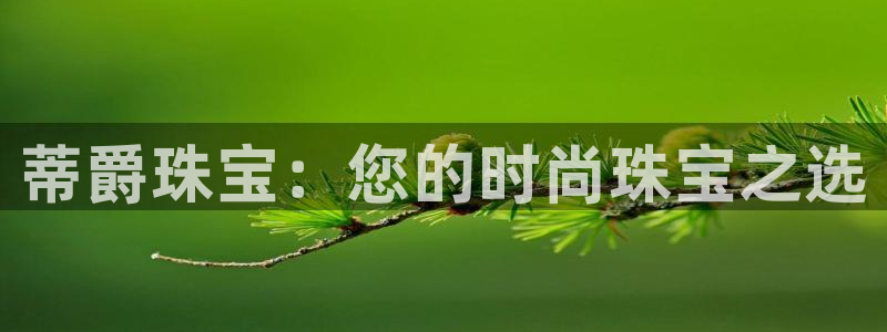 新宝5平台注册资金：蒂爵珠宝：您的时尚珠宝之选