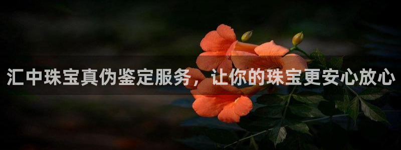 新宝5系列：汇中珠宝真伪鉴定服务，让你的珠宝更安心放心