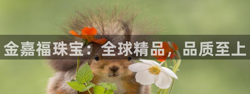 新宝5户端：金嘉福珠宝：全球精品，品质至上