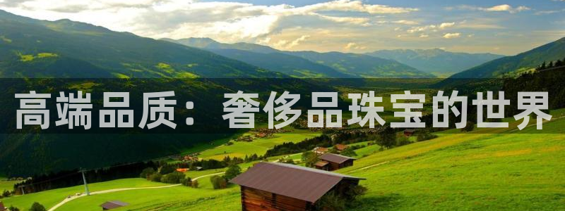 新宝5入口：高端品质：奢侈品珠宝的世界