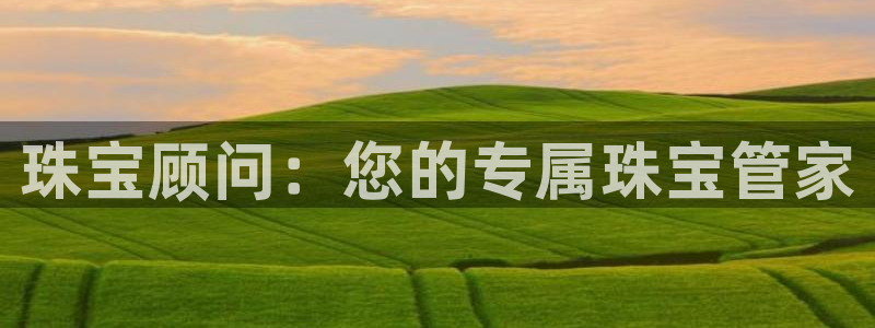 新宝5台卡：珠宝顾问：您的专属珠宝管家