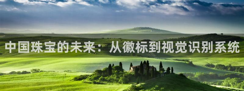 i新宝5：中国珠宝的未来：从徽标到视觉识别系统