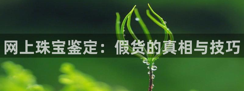 新宝5导师：网上珠宝鉴定：假货的真相与技巧