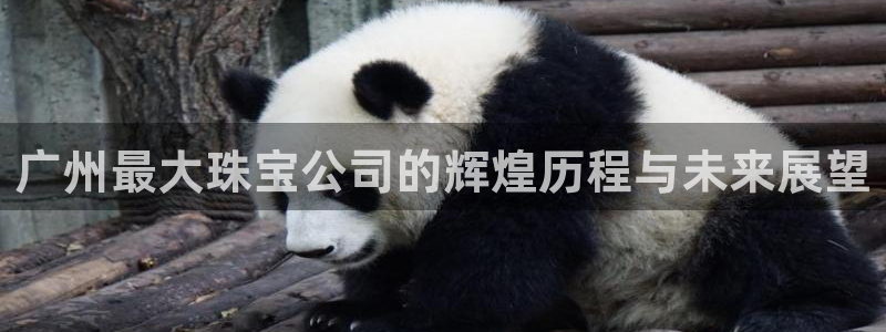新5宝：广州最大珠宝公司的辉煌历程与未来展望
