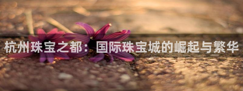 股票5G宝新：杭州珠宝之都：国际珠宝城的崛起与繁华